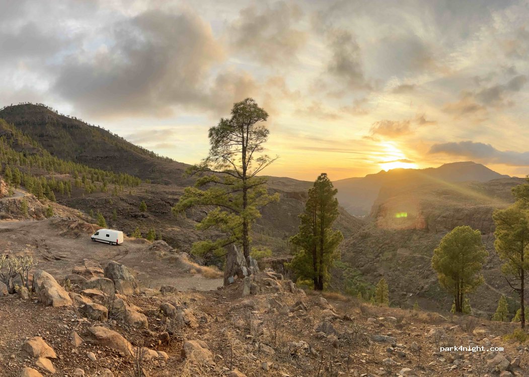 (35299) Lomo de la Palma - — foto 3
