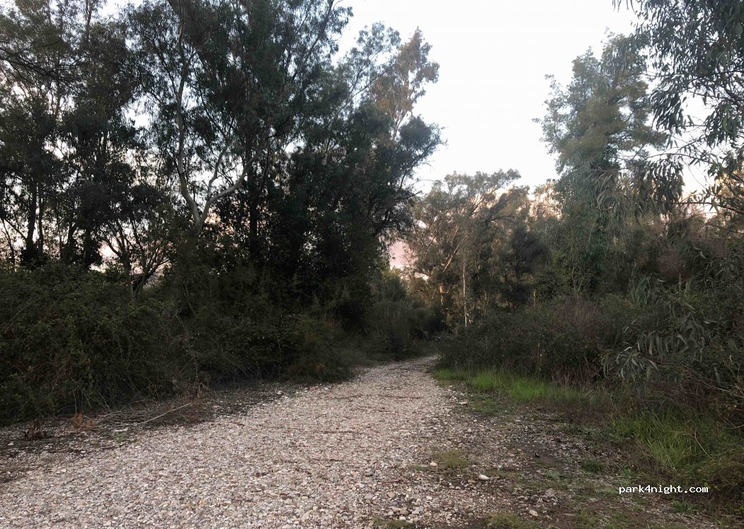 (270 65) Archea Olimpia - — foto 3