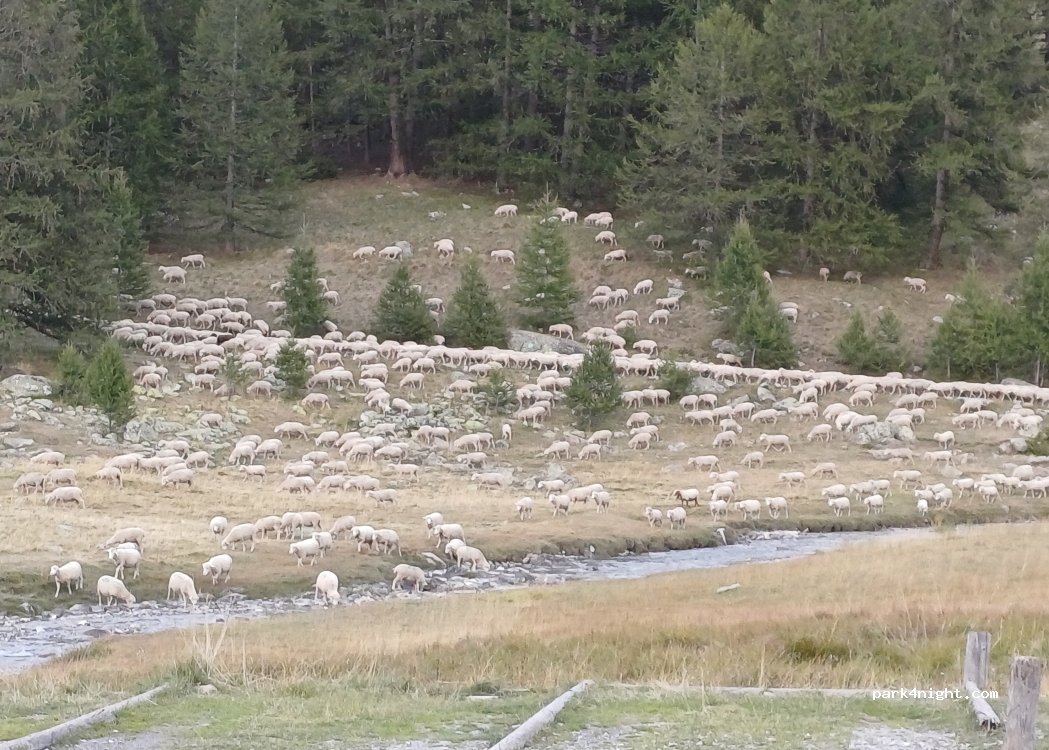 (04530) Val-d'Oronaye - 2 Chemin du Corps de Garde — foto 5