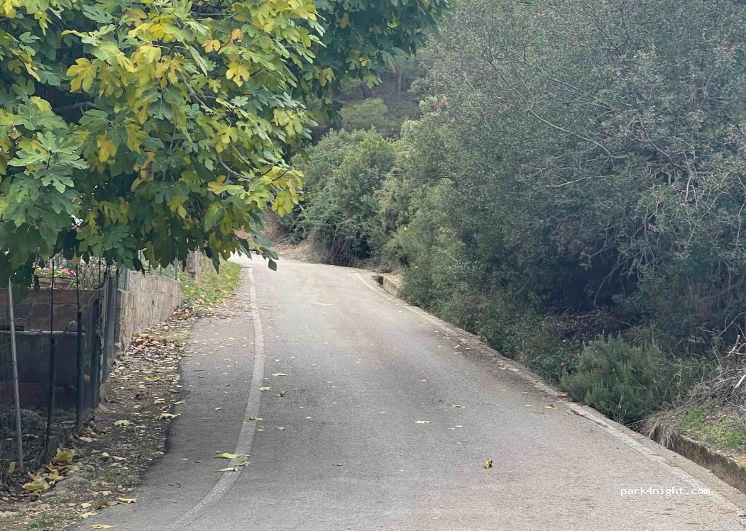 (16260) Minglanilla - Unnamed Road — foto