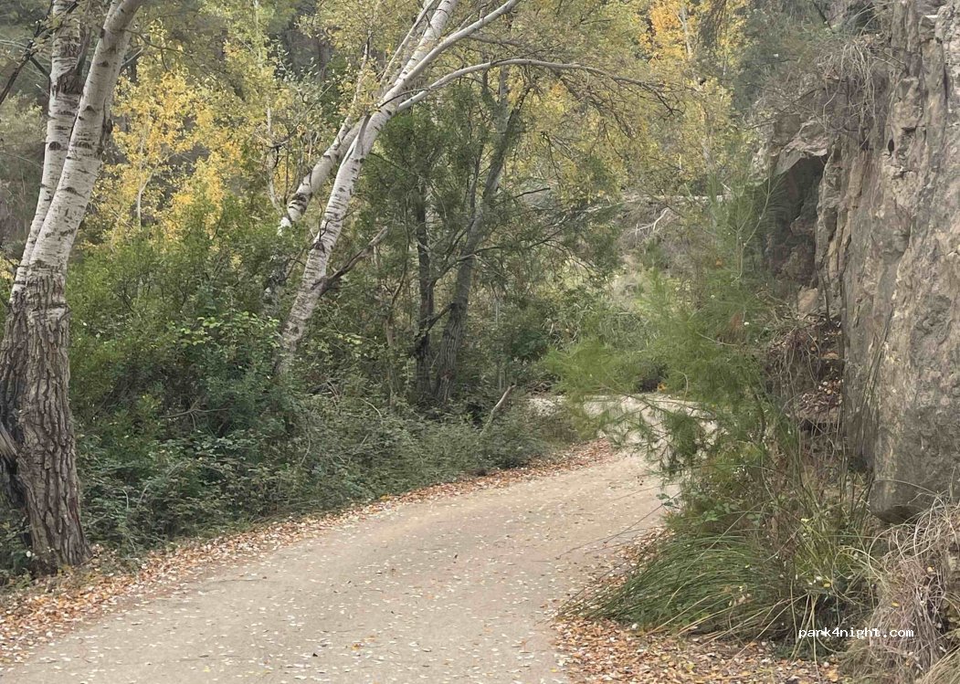 (16260) Minglanilla - Unnamed Road — foto 2