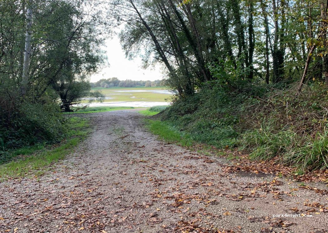(52290) Éclaron-Braucourt-Sainte-Livière - D384 — foto