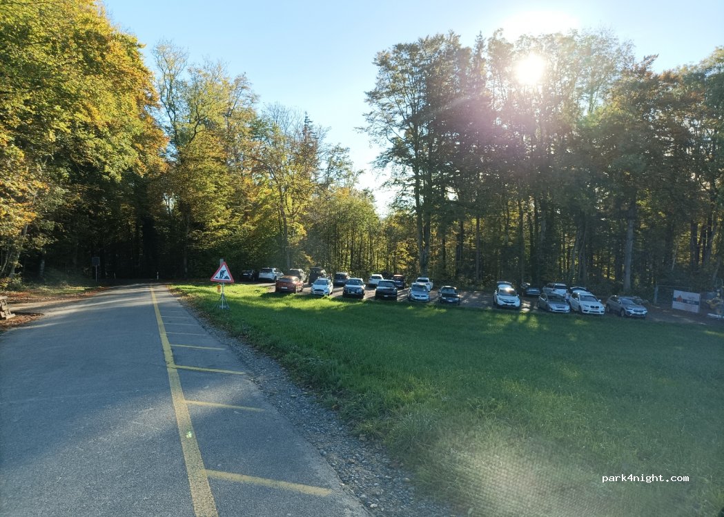 (8967) Widen - Hasenbergstrasse — foto 4
