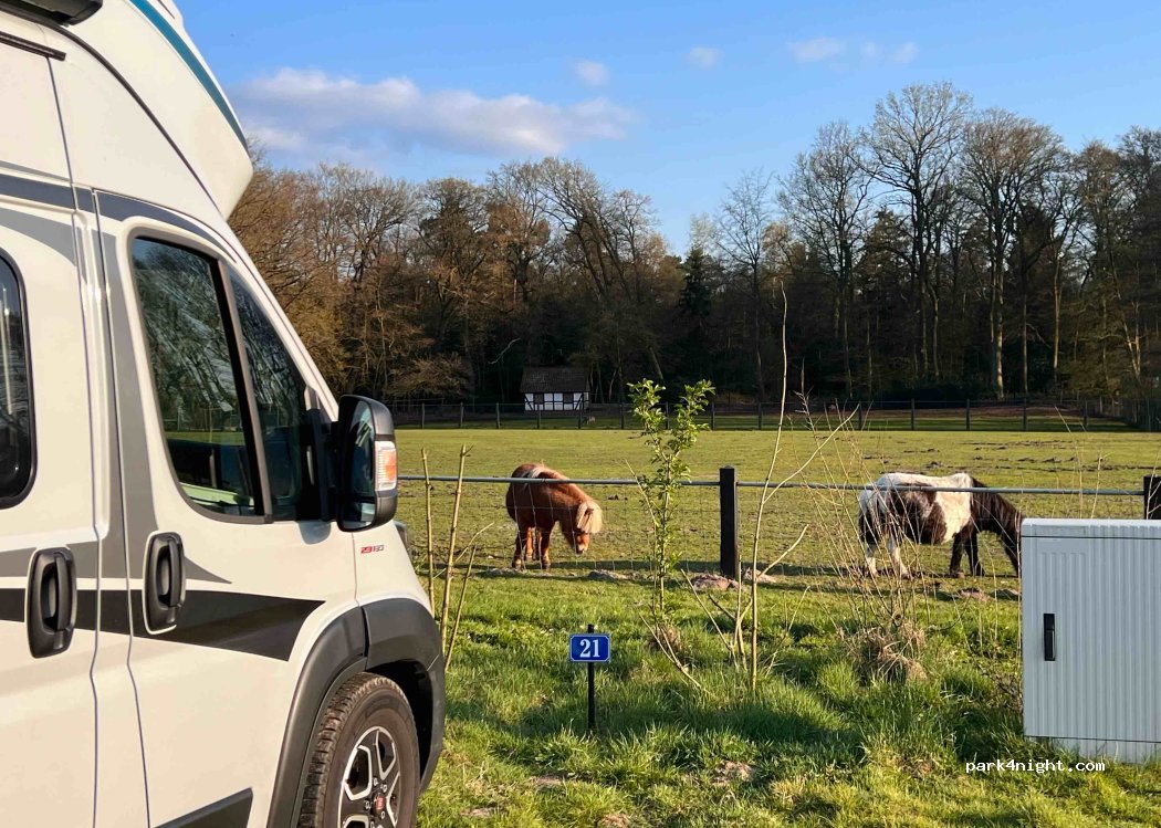 Wohnmobilstellplatz Tierpark Ströhen — foto 2