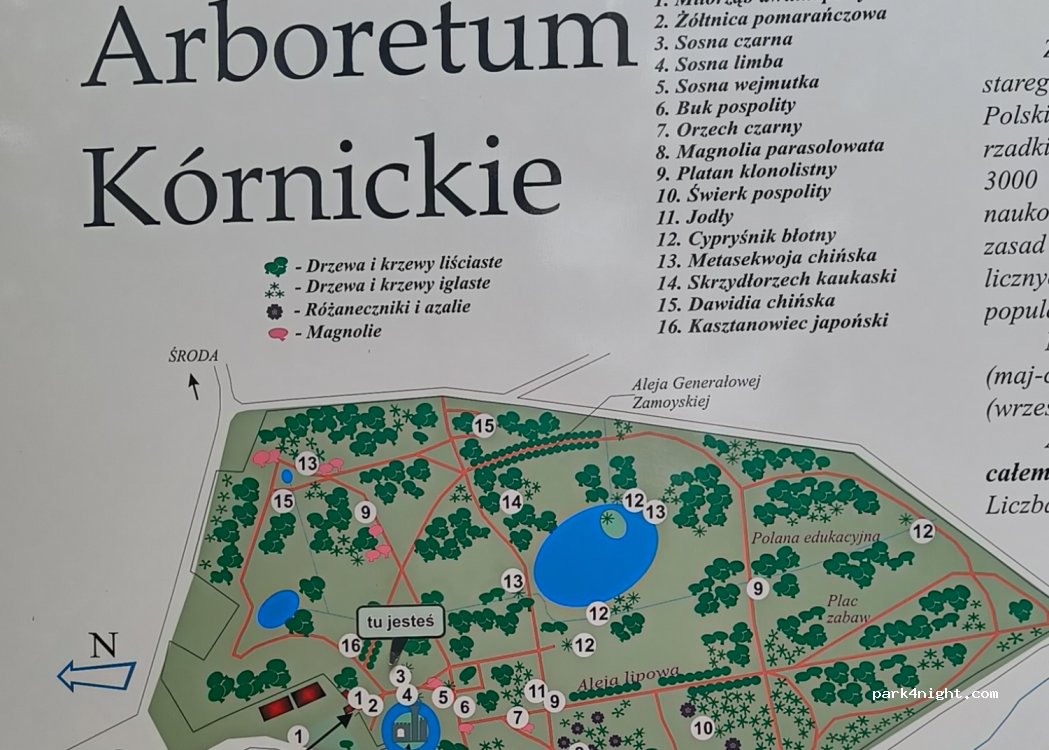 (62-035) Kórnik - Zamkowa — foto 3
