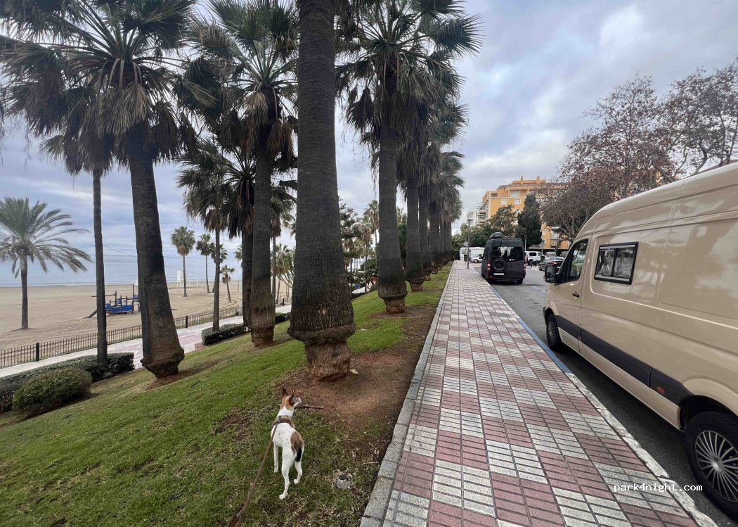 (29603) Marbella - 20 Avenida Severo Ochoa — foto 5