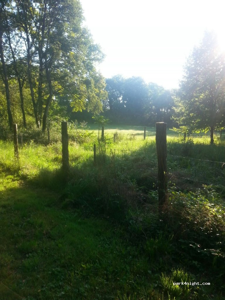 (88270) Circourt - D39A — foto 2