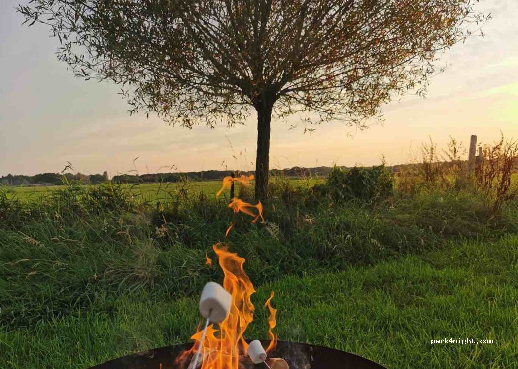 B&B en Micro Camping De Lieve Wies — foto 2