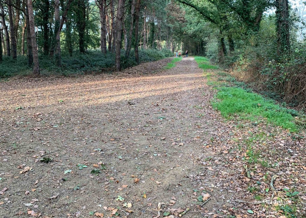 (85600) Montaigu-Vendée - 2 La Boizetière — foto 3