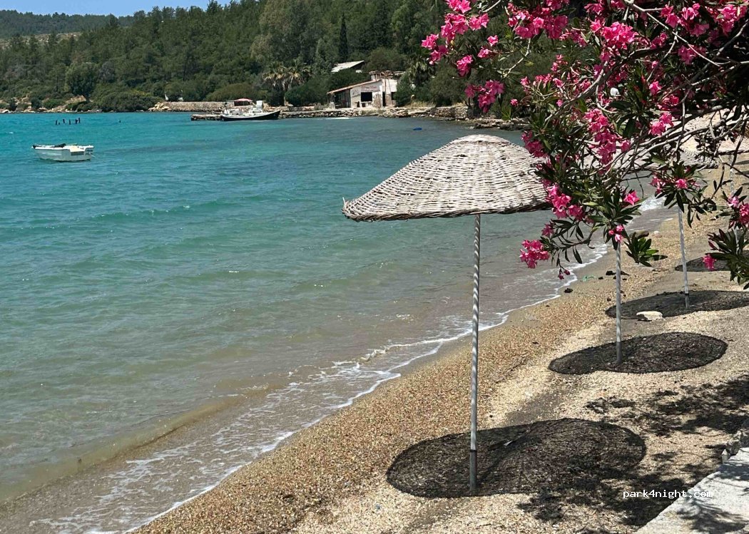(48960) Bodrum - 40 Cumhuriyet Meydanı — foto 3