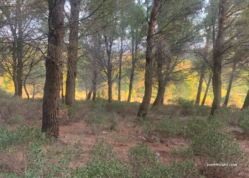 (11490) Portel-des-Corbières - — foto 3
