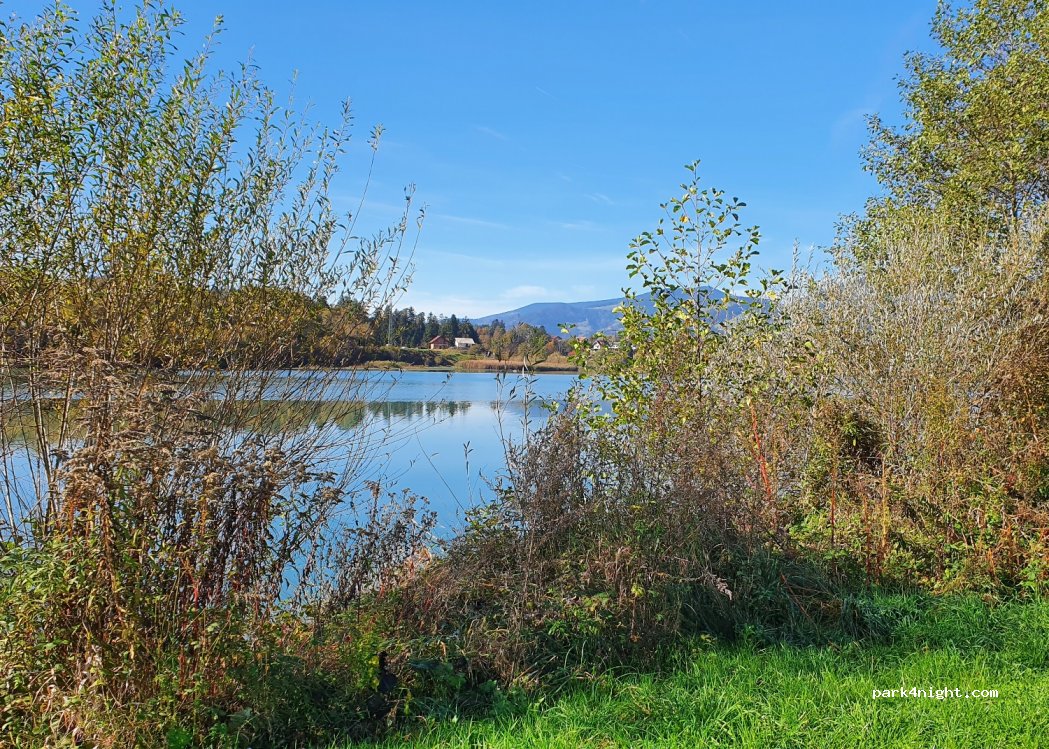 (2360) Radlje ob Dravi - 15 Spodnja Vižinga — foto