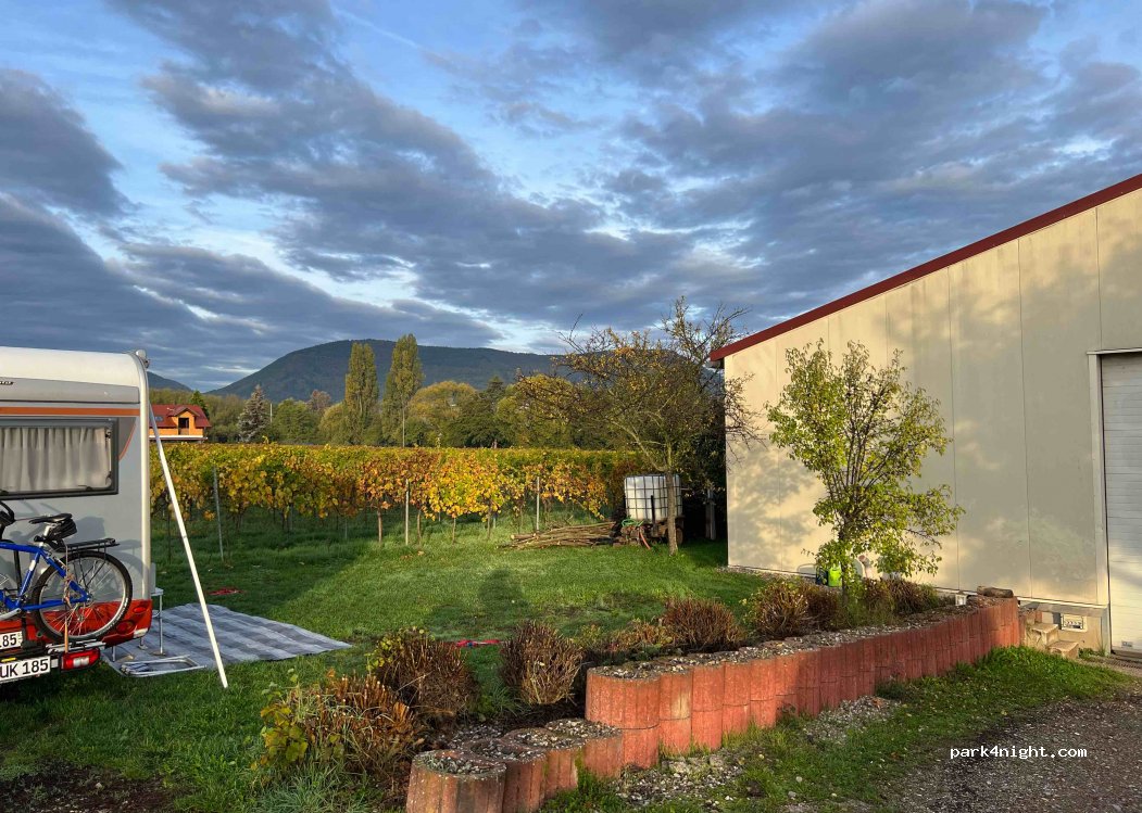 Weingut&Gästehaus Rainer Boos — foto