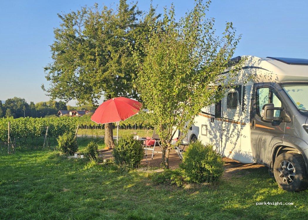 Weingut&Gästehaus Rainer Boos — foto 3