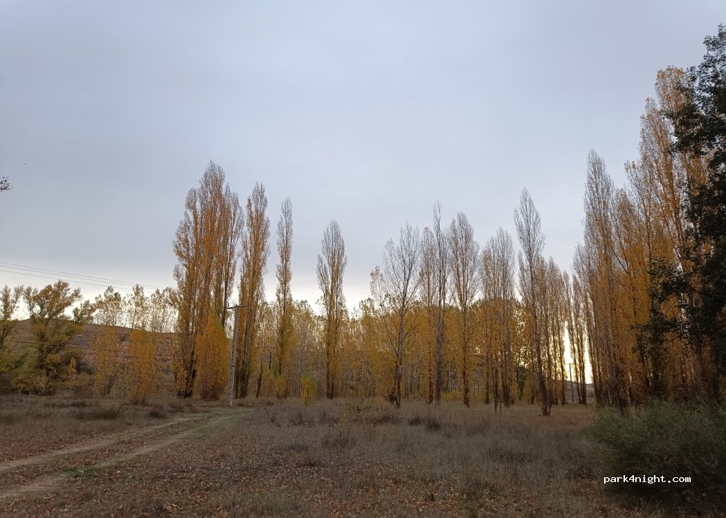(42330) San Esteban de Gormaz - — foto 2