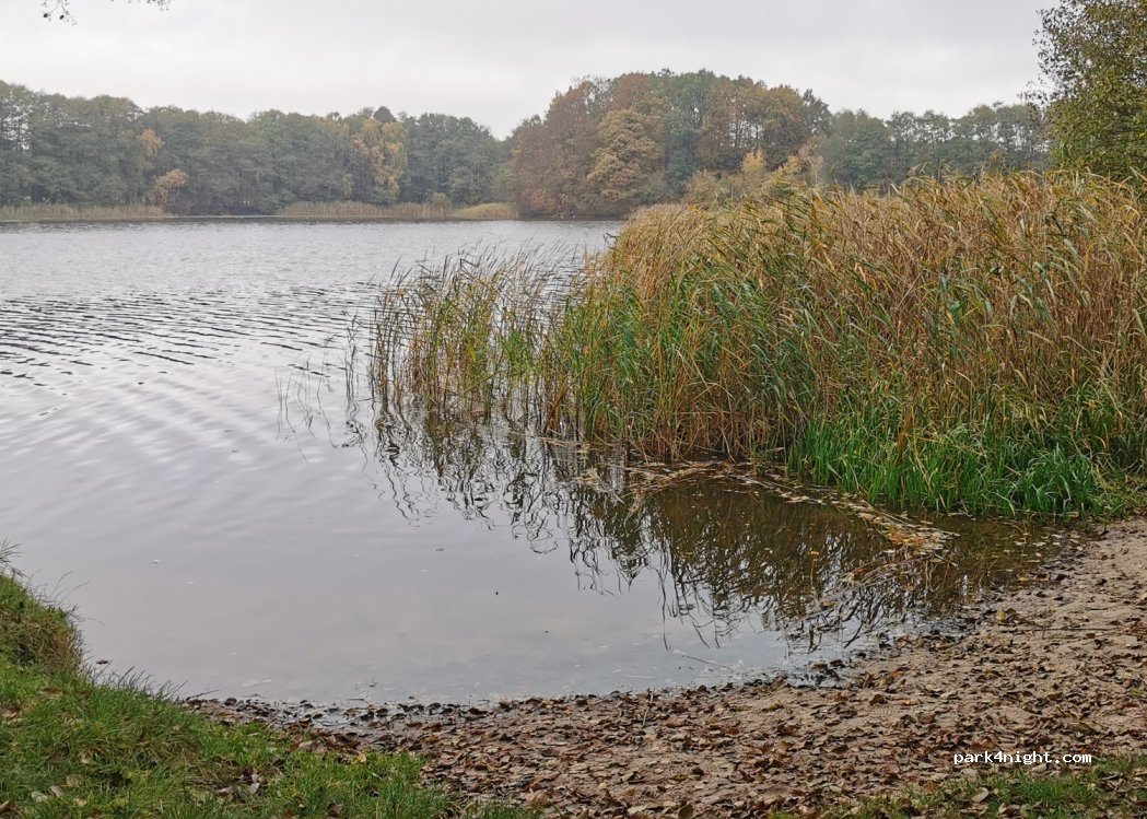 (19246) Zarrentin am Schaalsee - — foto 2