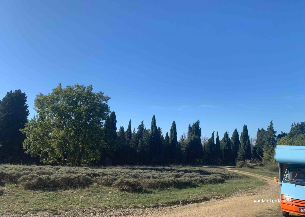 (53017) Castelnuovo - Str. di Vagliagli — foto