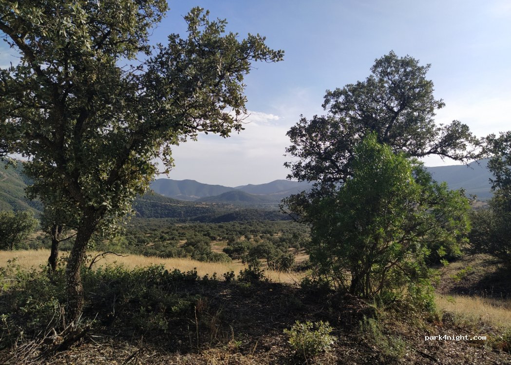 (13594) Solanilla del Tamaral - — foto 2