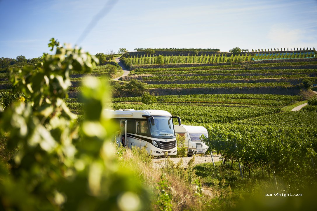 Weingut Abril — foto