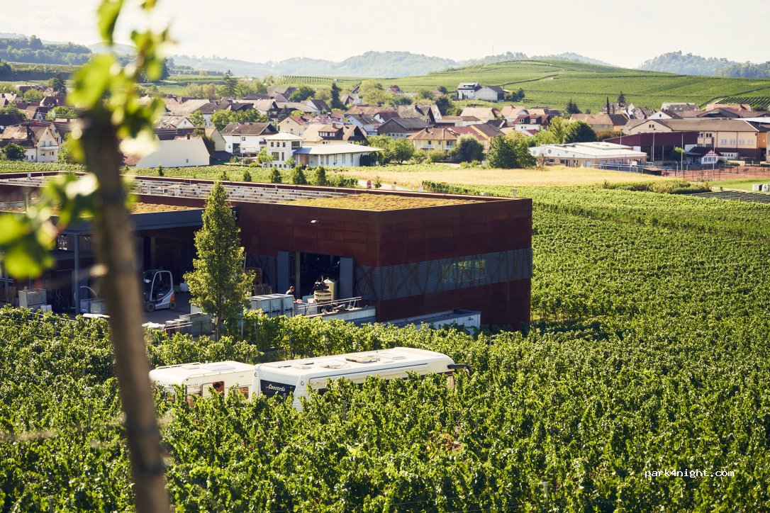 Weingut Abril — foto 2