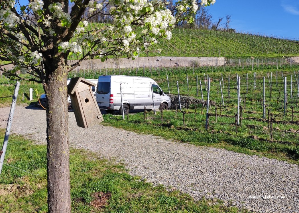 Weingut Abril — foto 4
