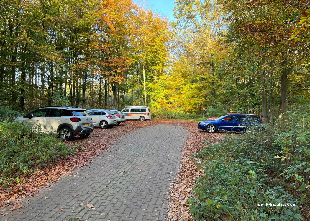 (7863) Gees - 7863 Tilweg — foto