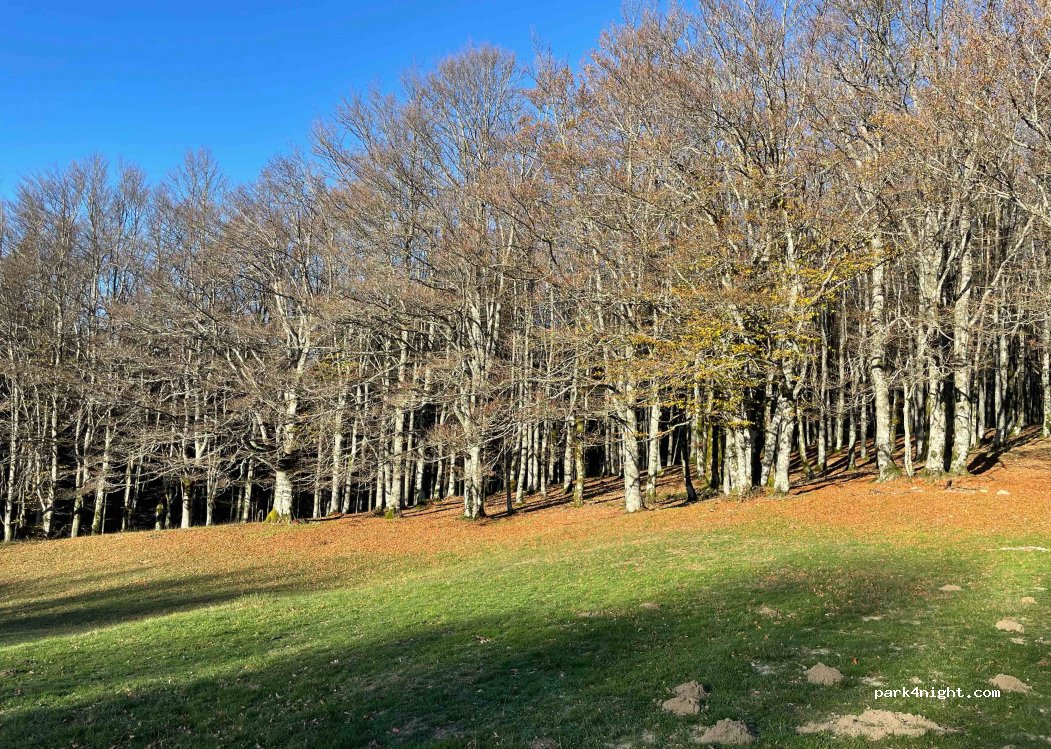 (52014) Poppi - Strada Provinciale 124 dell'Eremo — foto