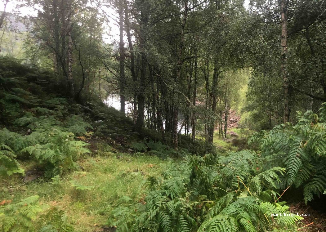 (IV63 7YN) Cougie - Unnamed Road — foto 2