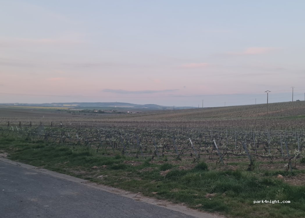 (51500) Chigny-les-Roses - 9 Rue du 11 Novembre — foto 5