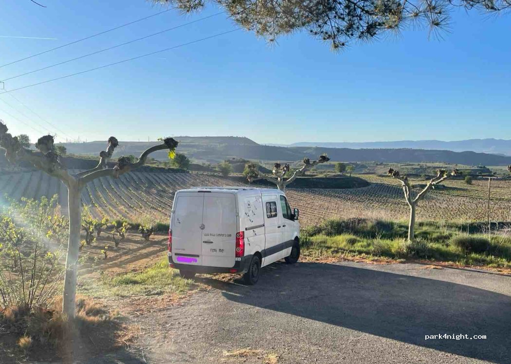 (01340) Eltziego - 1 Elciego Entitatea — foto 4