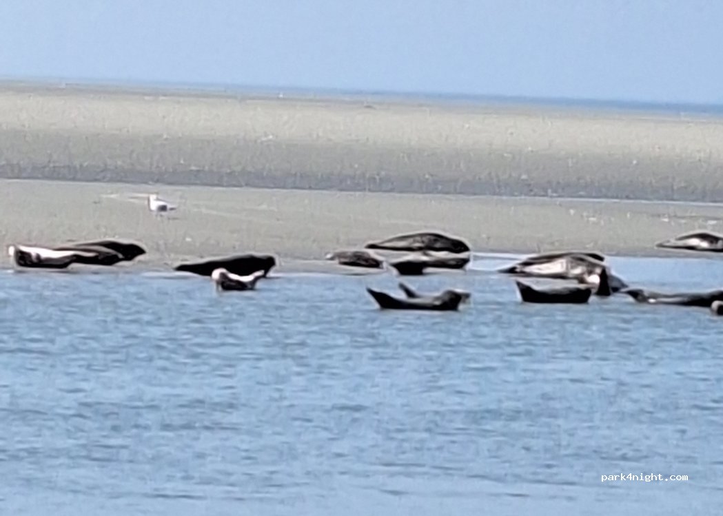 (62600) Berck - 1 Chemin aux Raisins — foto 4
