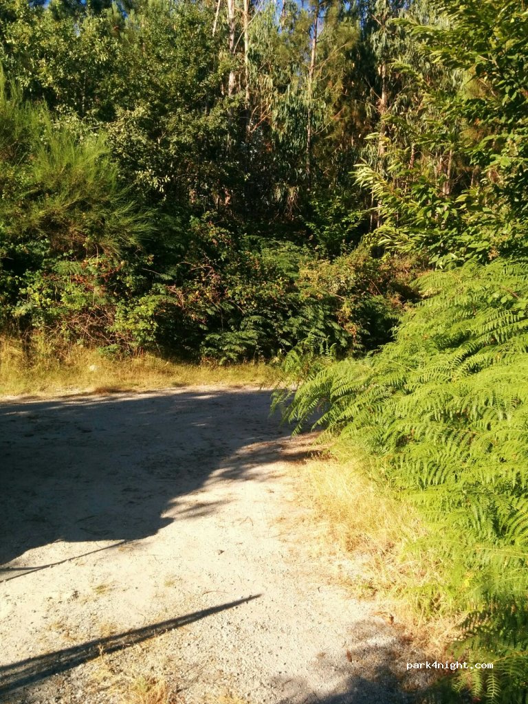 (4850)  - Unnamed Road — foto