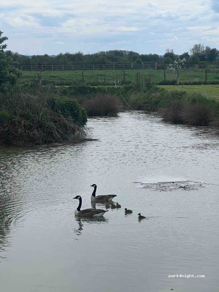 Westgate Carr Farm — foto 3