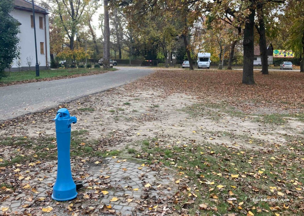 (6000) Kecskemét - 1 Műkerti sétány — foto
