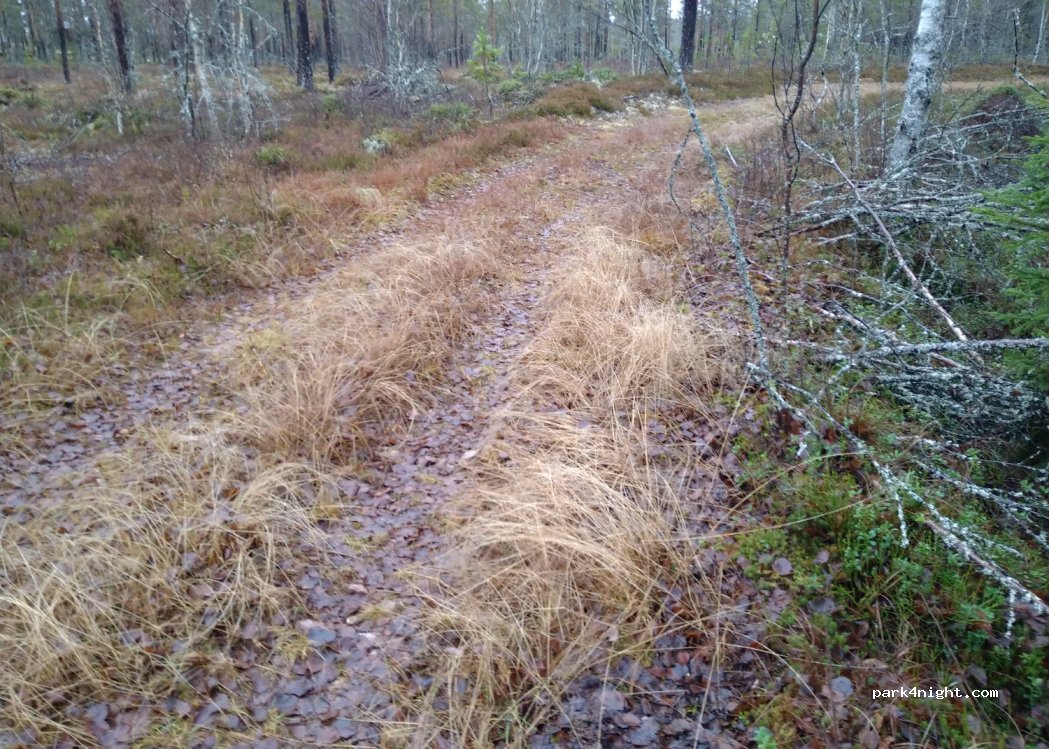 (780 66) Sälen - Unnamed Road — foto 2