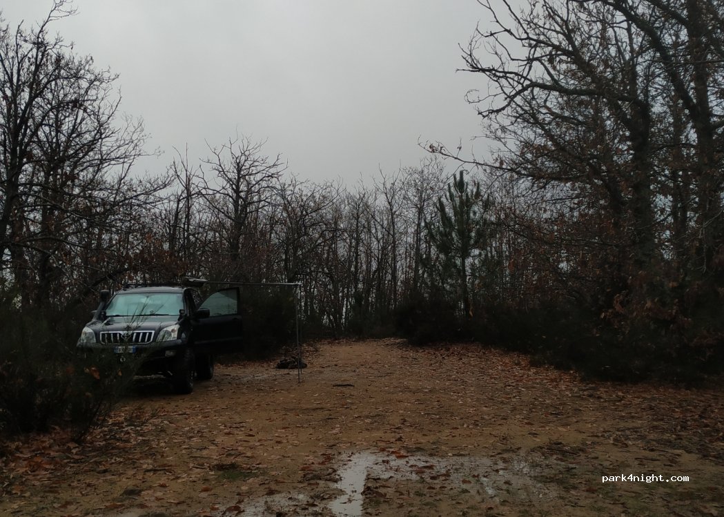 (51017) Pescia - — foto 3