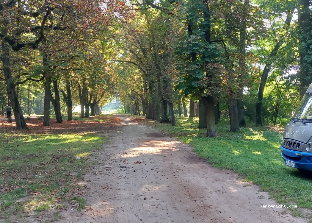 (62-022) Rogalin - 1/3 Arciszewskiego — foto 3