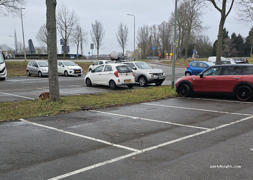 (6041) Roermond - Bisschop Lindanussingel — foto 4