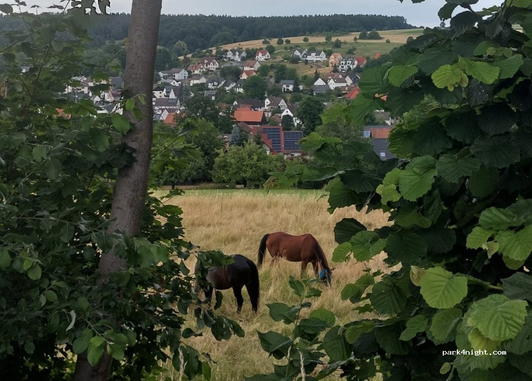(63768) Hösbach - 28 Am Heigenberg — foto 2