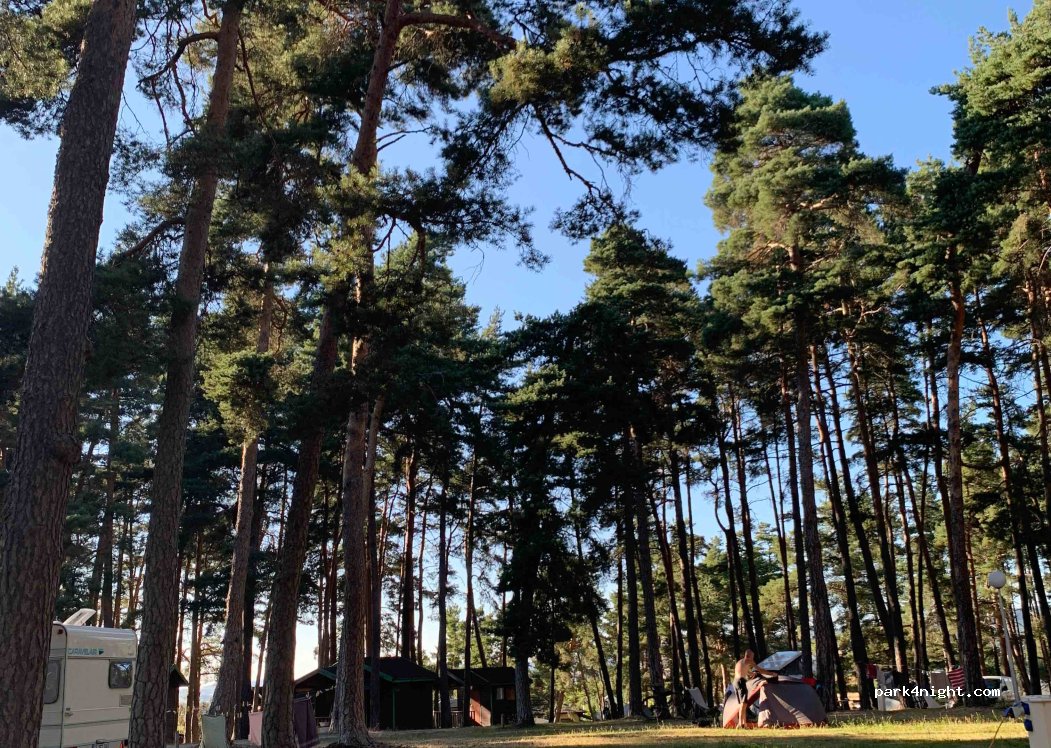 Camping Le Petit Bois — foto 3