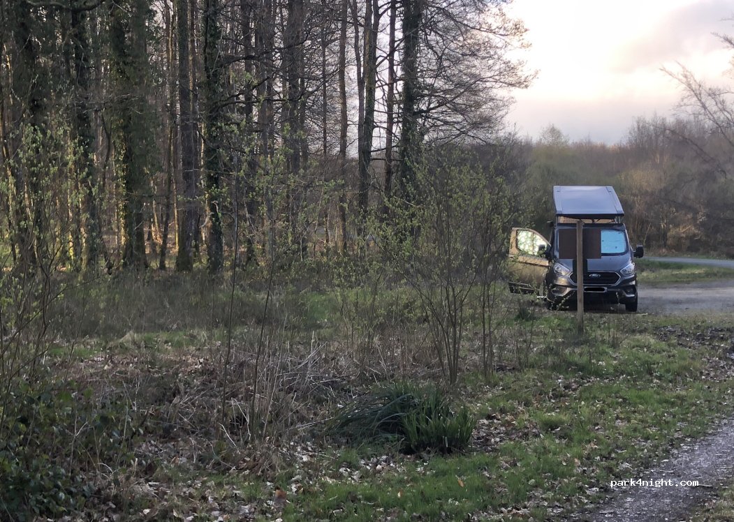 (61190) Tourouvre au Perche - — foto