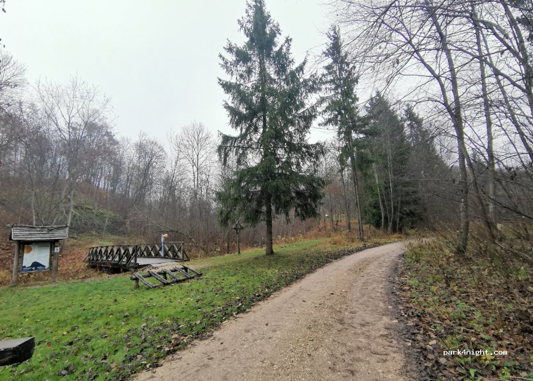 (33253) Dubingiai - Lakštingalų str. — foto 3