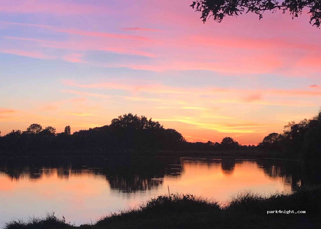 (41230) Soings-en-Sologne - — foto 4
