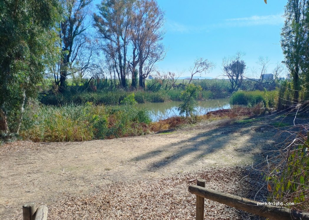(06410) Santa Amalia - — foto 3