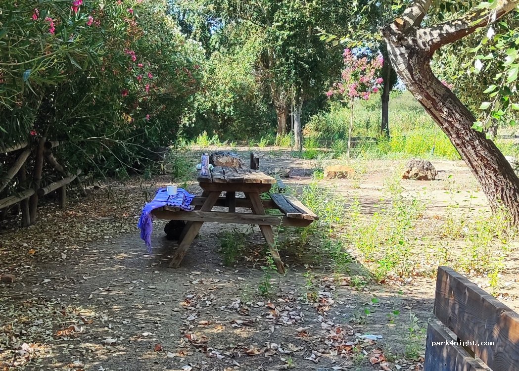 (06410) Santa Amalia - — foto 4