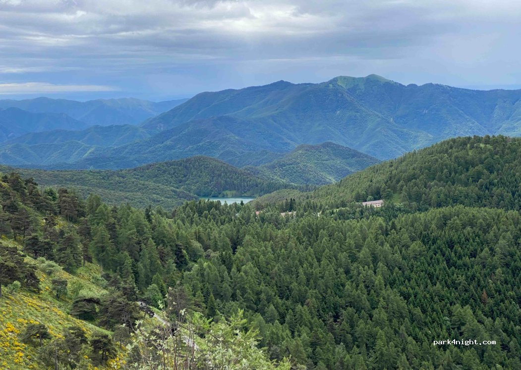 (18037) Pigna - 1 Regione Colle Melosa — foto
