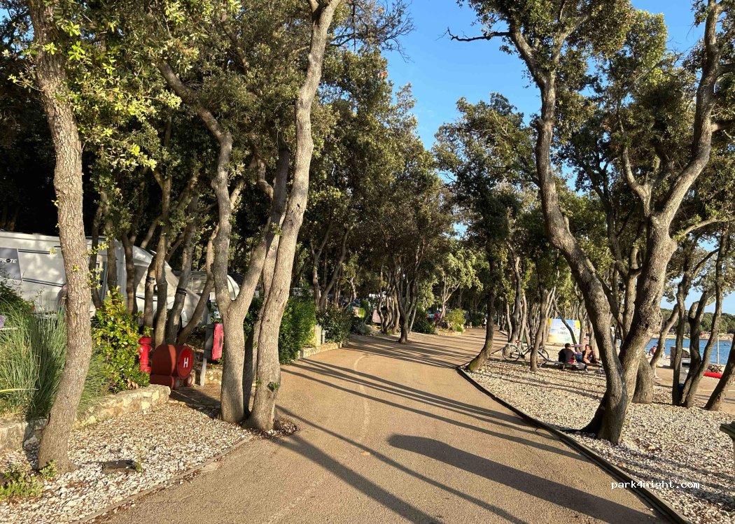 Camping Straško — foto 4
