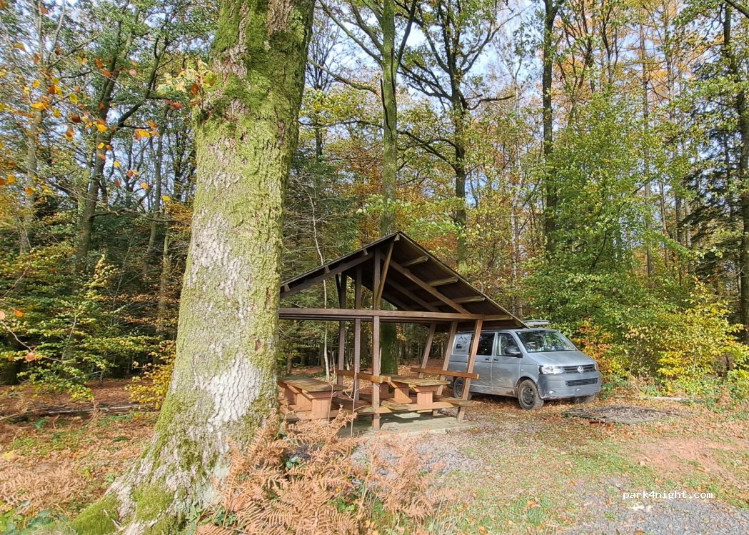 () Bouillon - — foto 3
