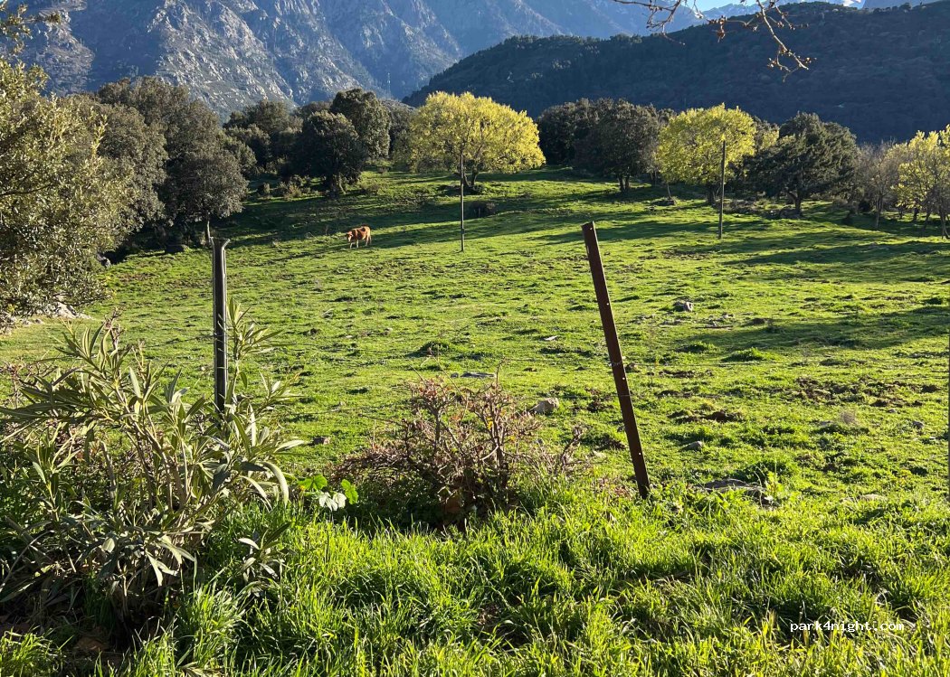 (20259) Olmi-Cappella - Capizolo — foto 3