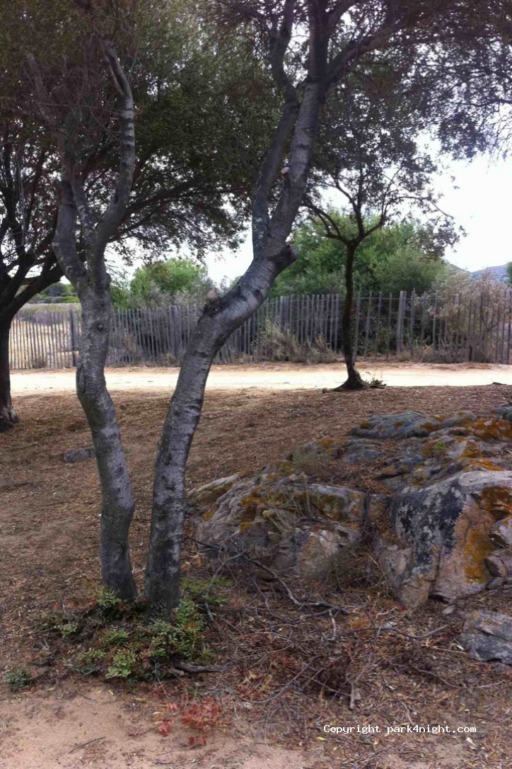 (20256) Corbara - Barcale — foto